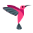 anim_hummingbird.png