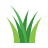 nat_grass.png